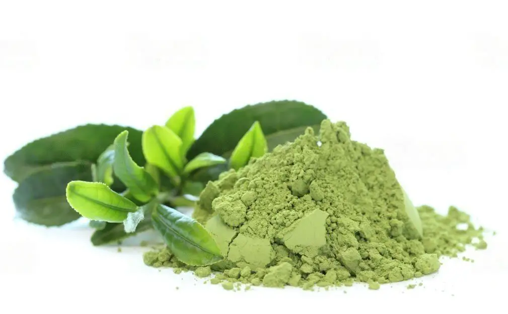 How to make green tea with green tea powder