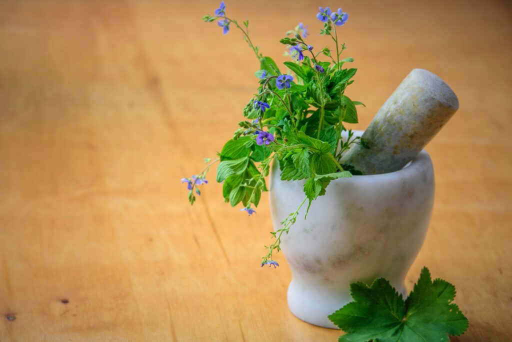 Benefits of Growing Herbs