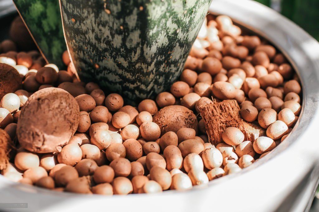indoor farming clay pebbles for herbs and vegetables to grow indoors