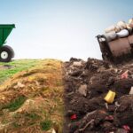 Composting Vs Landfill